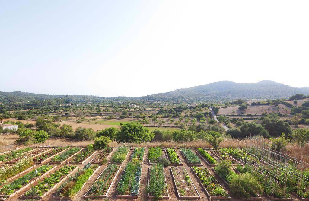 Agroturismo Ses Cases De Fetget (Adults Only) Son Servera (Mallorca) Exterior foto